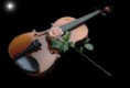 /album/fotogaleria/a196340-171849769534141-100001273572012-418105-5532212-n-jpg1/
