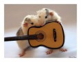 /album/fotogaleria/a295727-232082553503932-187688497943338-655824-3762050-n-jpg/